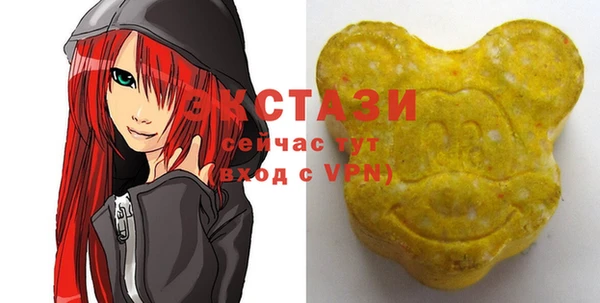 гашик Алексин