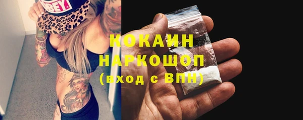 гашик Алексин