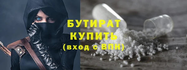 гашик Алексин