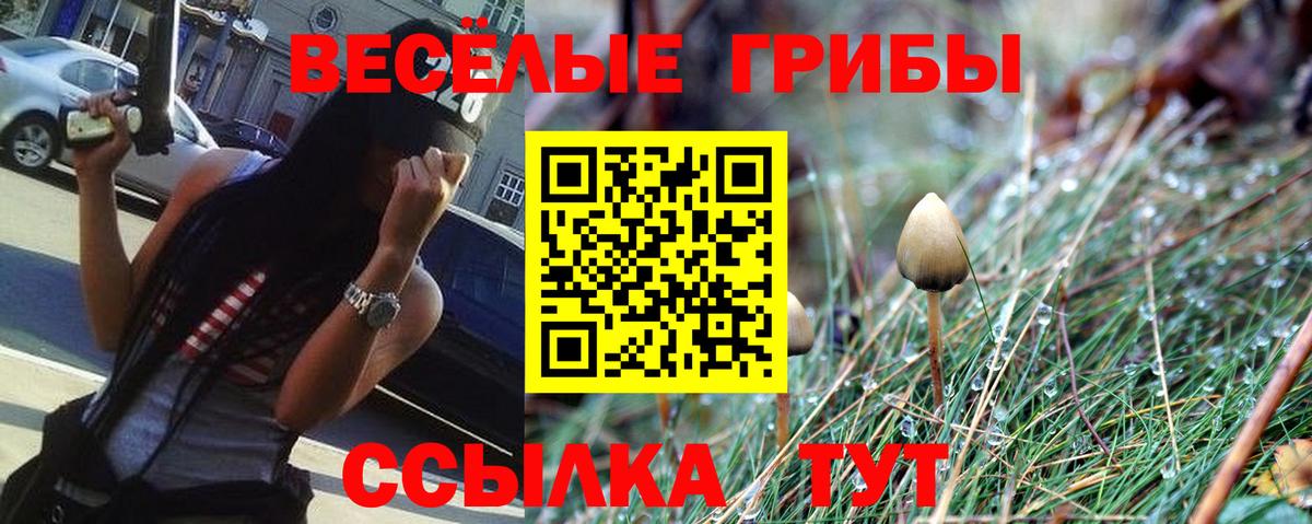 Галлюциногенные грибы MAGIC MUSHROOMS  где можно купить   Тавда  Псилоцибиновые грибы прущие грибы  Вход с VPN 